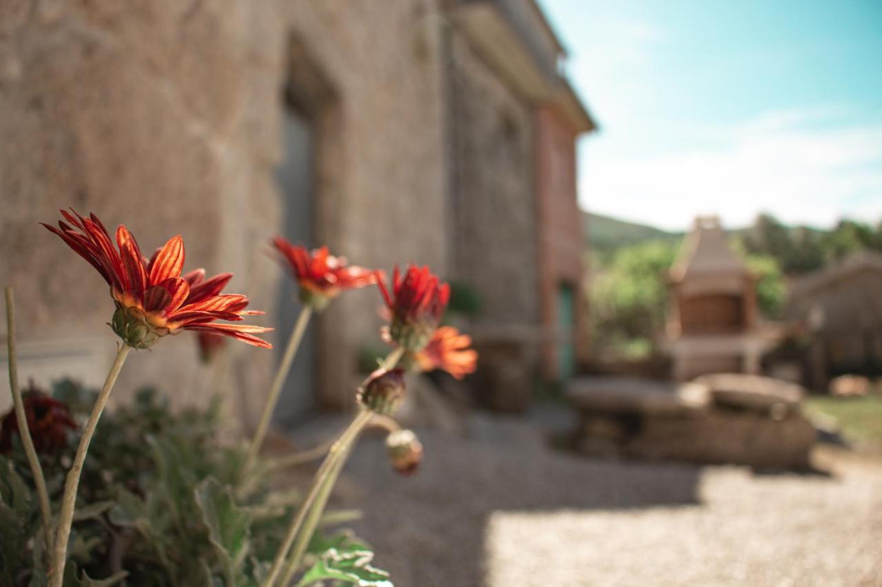 Ferienhaus Casa Da Eira De Santo Amaro *